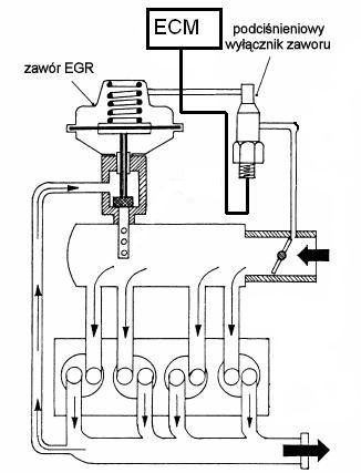 zawr EGR